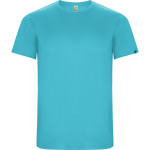 IMOLA (ECO collection)