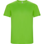 IMOLA (ECO collection)