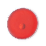 WARMIX